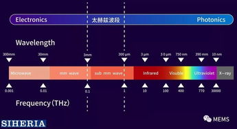 矽赫科技 以太赫茲底層技術為基，開拓智能光電新藍海
