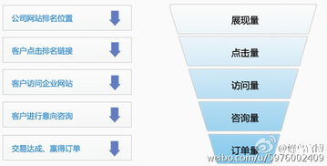 探索蜂鳥互聯網搜索營銷系統 上海互聯網營銷服務的創新數據解決方案